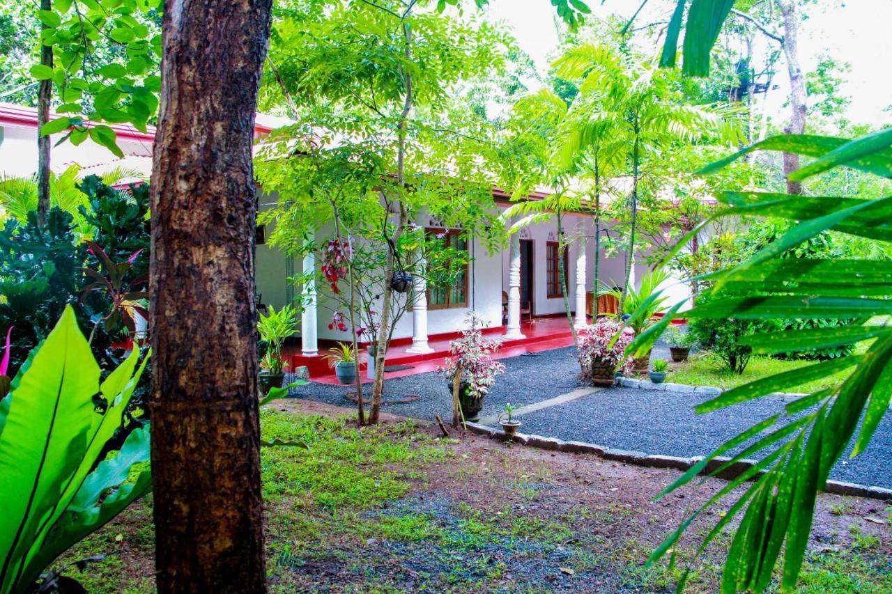 Thathsara Holiday Inn Sigirîya Extérieur photo